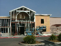 vai_1_no_shadows_7-13-09004008.jpg